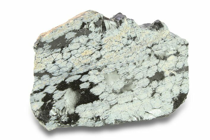 Snowflake Obsidian Section - Utah #285934